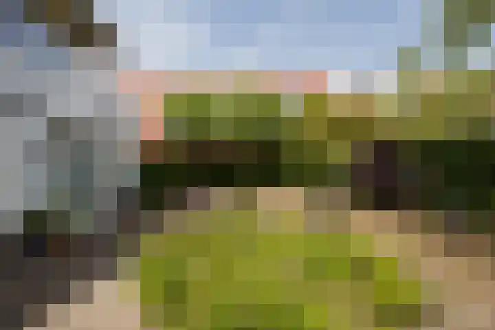 Zandoever 13 Nieuwegein thumbnail 33