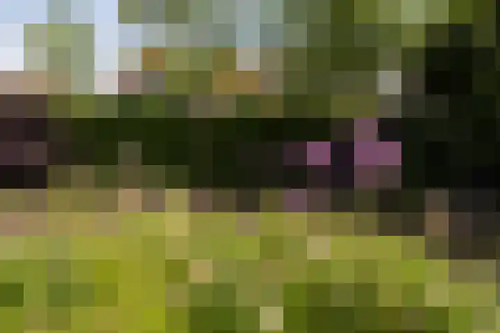 Zandoever 13 Nieuwegein thumbnail 34