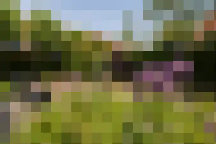 Zandoever 13 Nieuwegein thumbnail 35