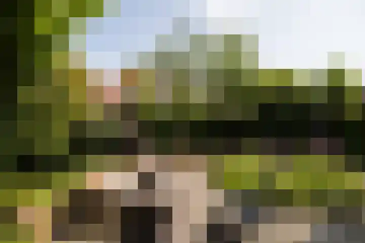 Zandoever 13 Nieuwegein thumbnail 37