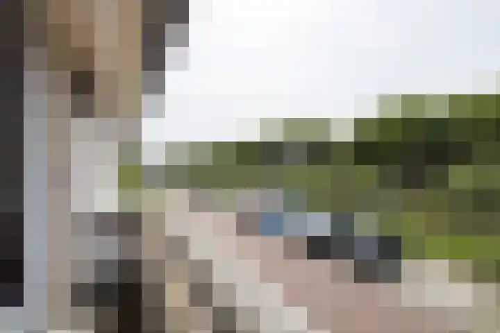 Zandoever 13 Nieuwegein thumbnail 45