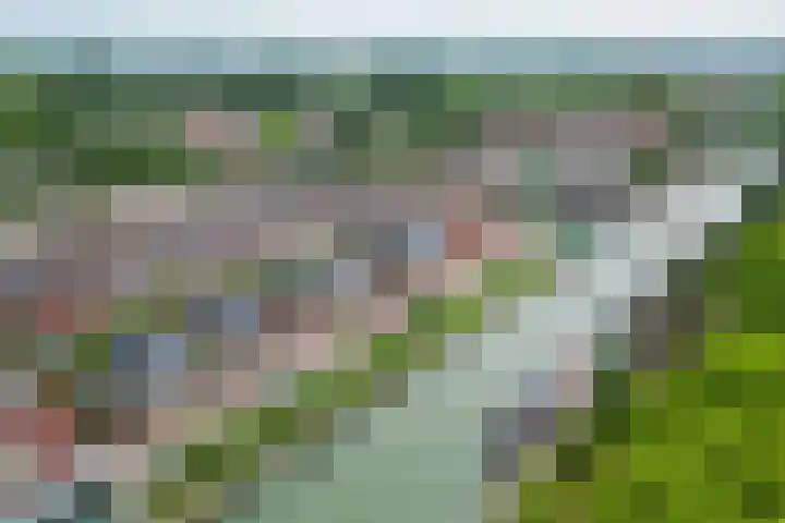 Zandoever 13 Nieuwegein thumbnail 6