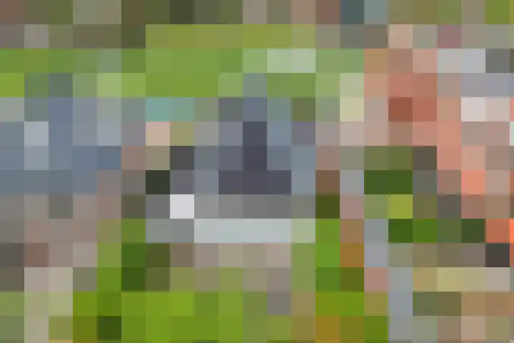 Zandoever 13 Nieuwegein thumbnail 67