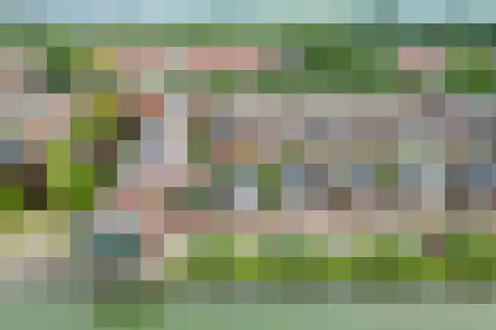 Zandoever 13 Nieuwegein thumbnail 69