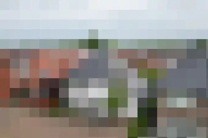 Zandoever 13 Nieuwegein thumbnail 71