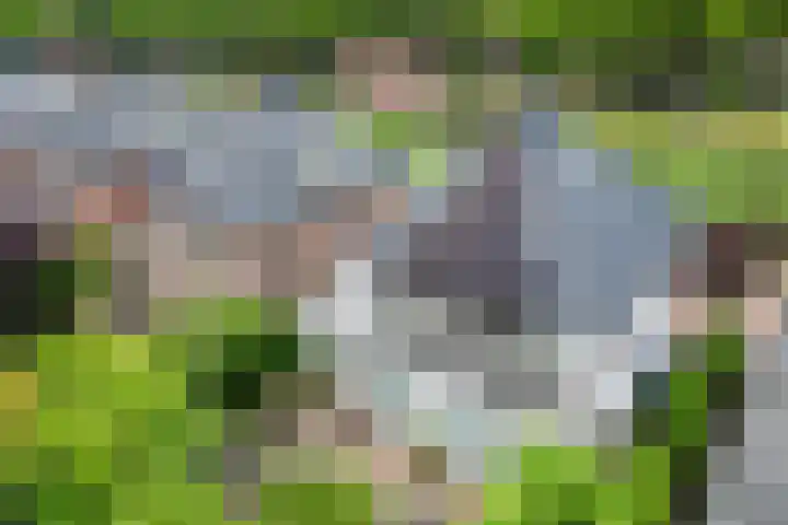 Zandoever 13 Nieuwegein thumbnail 74