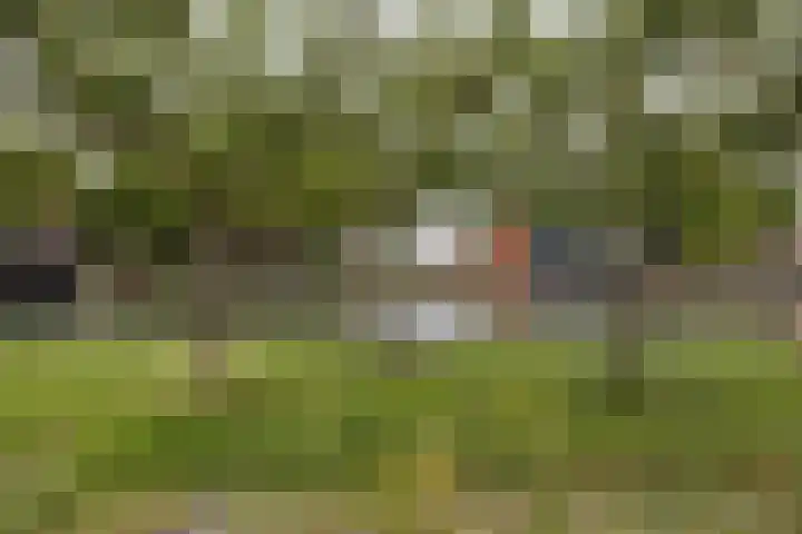 Zandoever 13 Nieuwegein thumbnail 75