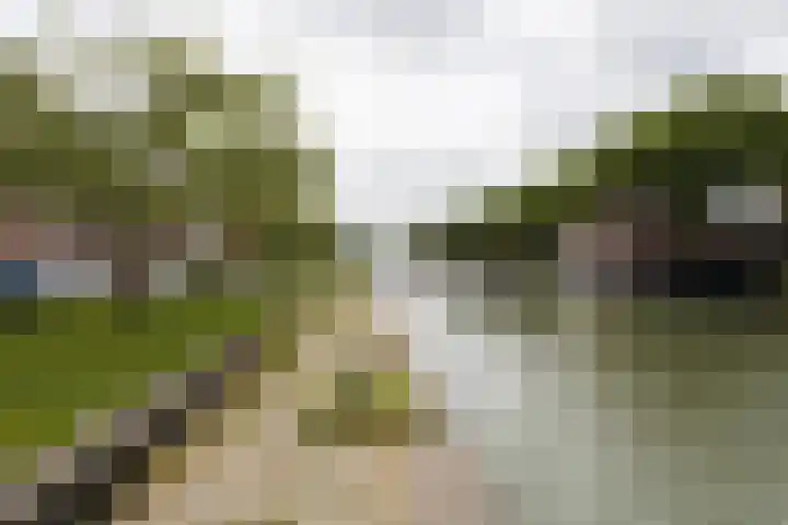 Zandoever 13 Nieuwegein thumbnail 76