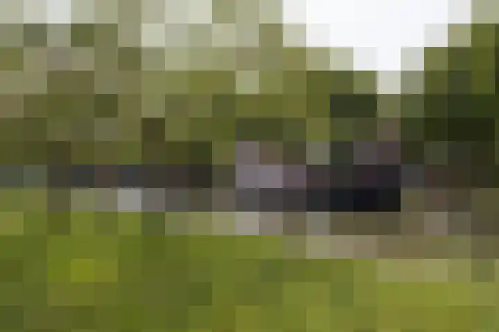 Zandoever 13 Nieuwegein thumbnail 77