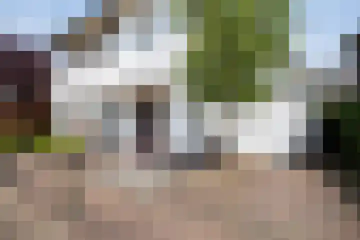 Zandoever 13 Nieuwegein thumbnail 8