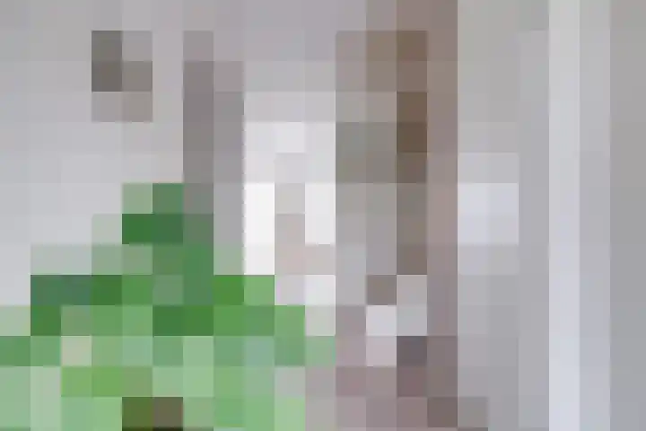 Zandoever 13 Nieuwegein thumbnail 9