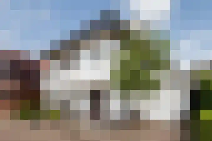 Zandoever 13 Nieuwegein thumbnail 94