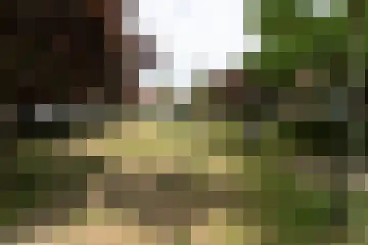 Zandoever 4 Nieuwegein thumbnail 48