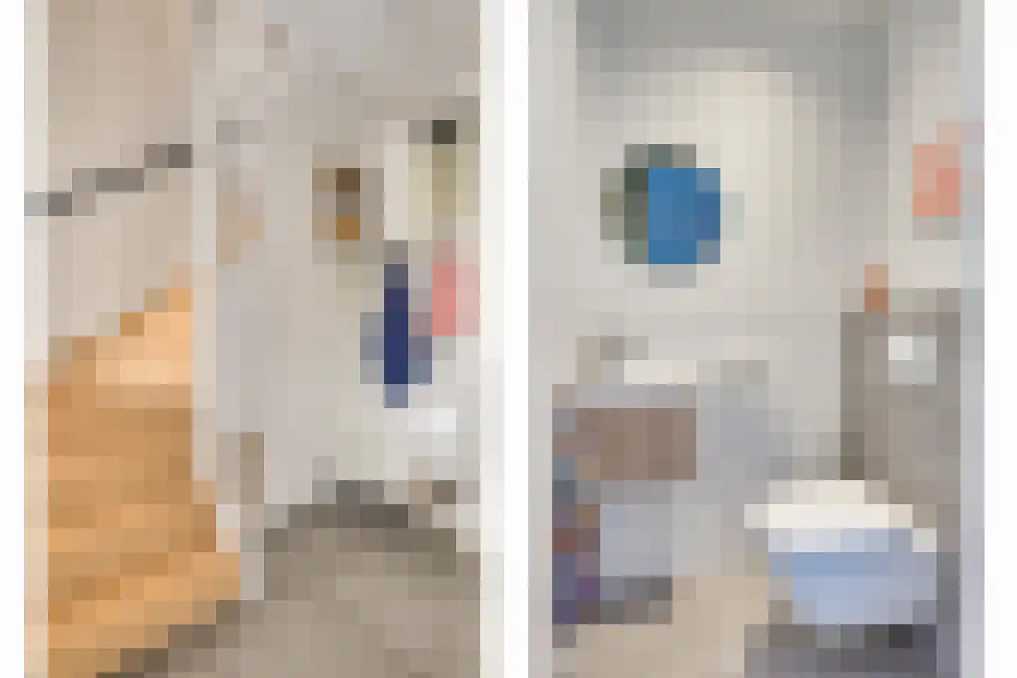 Zandoogje 1 Mierlo thumbnail 13