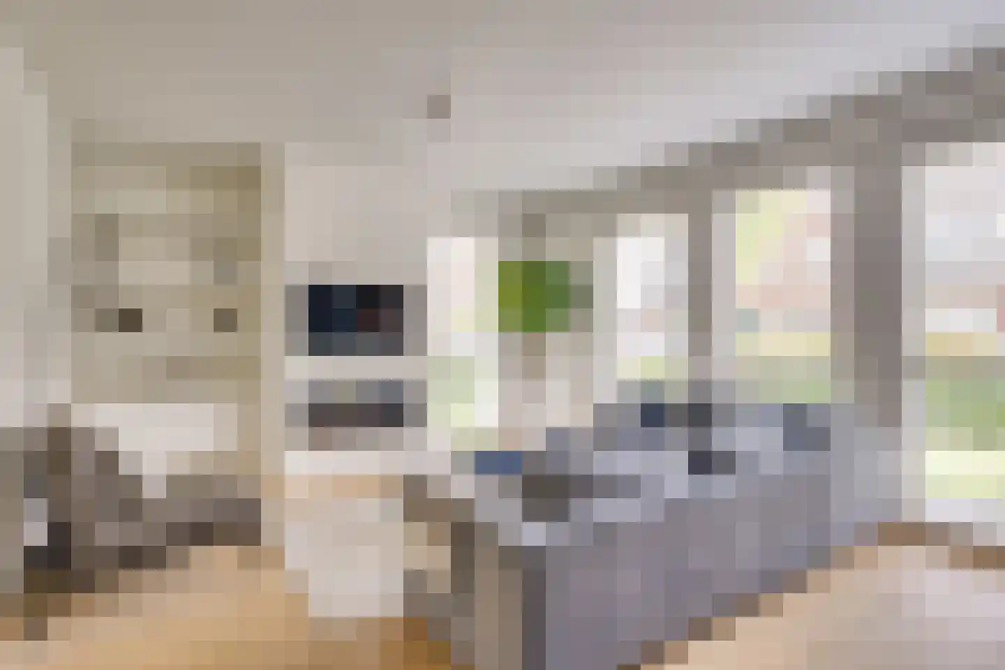 Zandoogje 1 Mierlo thumbnail 15