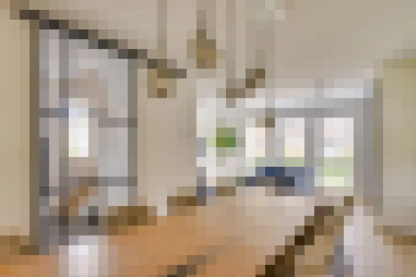 Zandoogje 1 Mierlo thumbnail 22