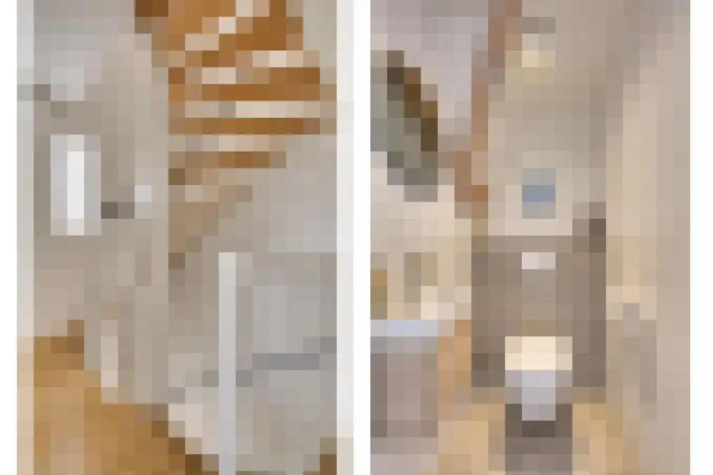 Zandoogje 1 Mierlo thumbnail 24