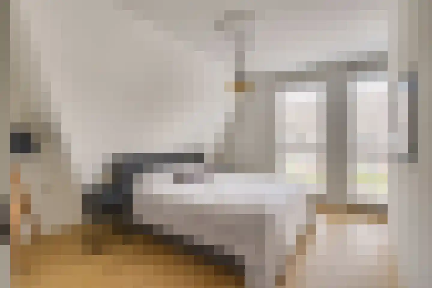 Zandoogje 1 Mierlo thumbnail 25