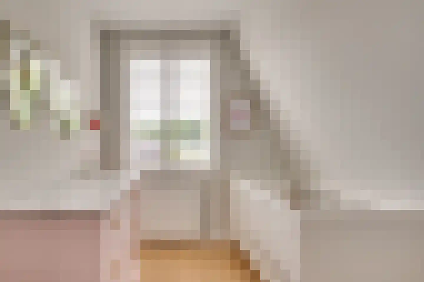 Zandoogje 1 Mierlo thumbnail 30