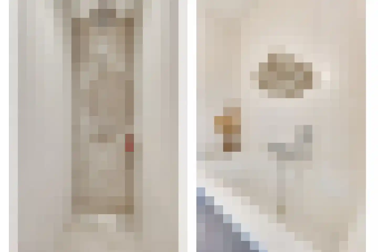 Zandoogje 1 Mierlo thumbnail 33