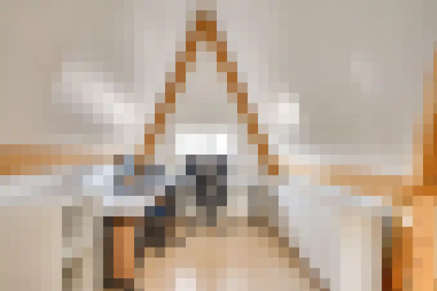 Zandoogje 1 Mierlo thumbnail 34