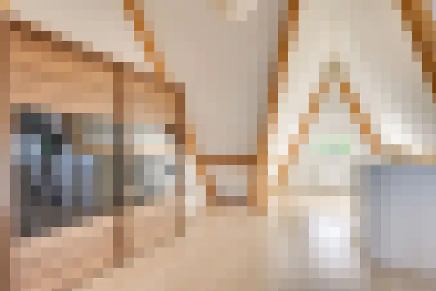 Zandoogje 1 Mierlo thumbnail 35
