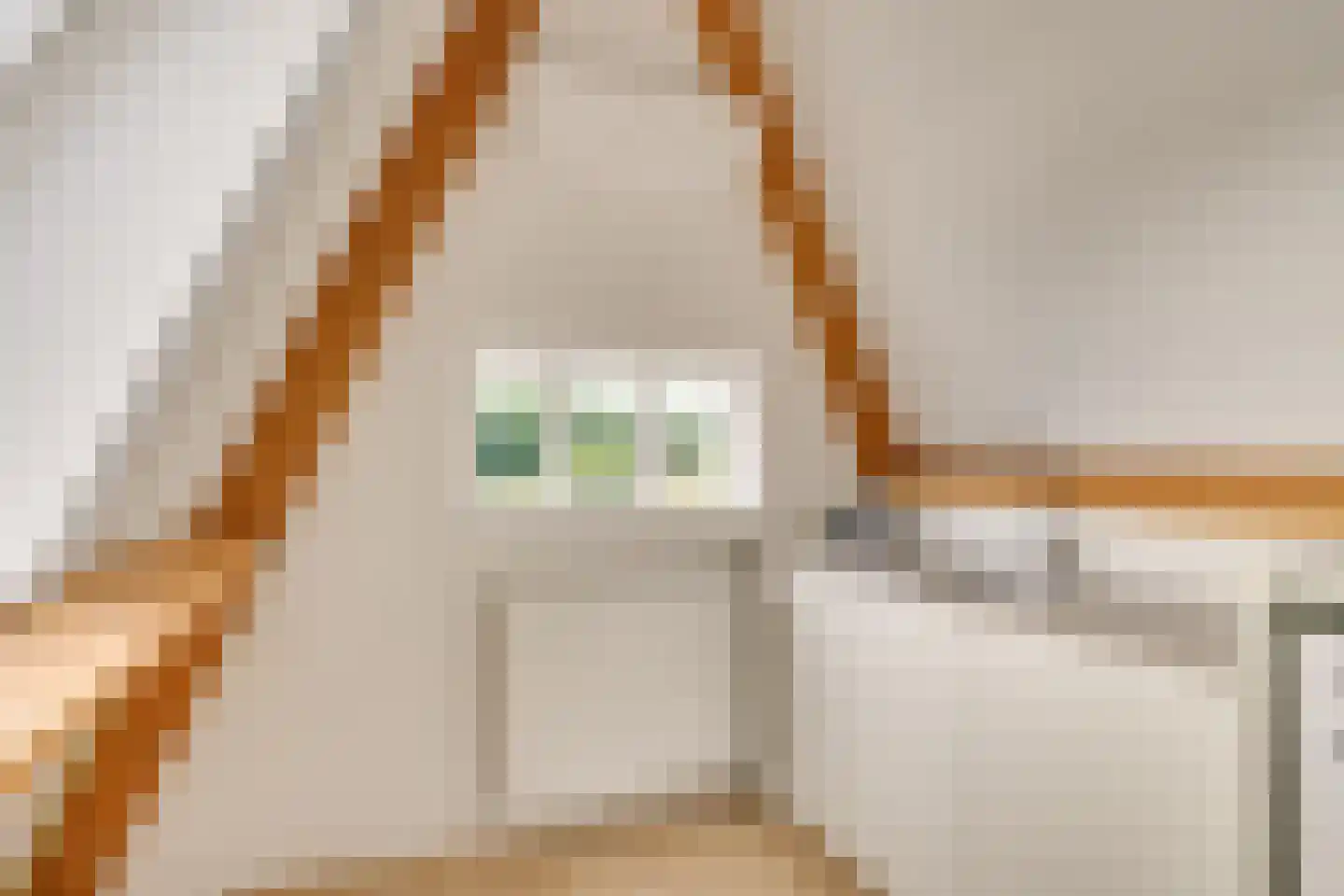 Zandoogje 1 Mierlo thumbnail 36