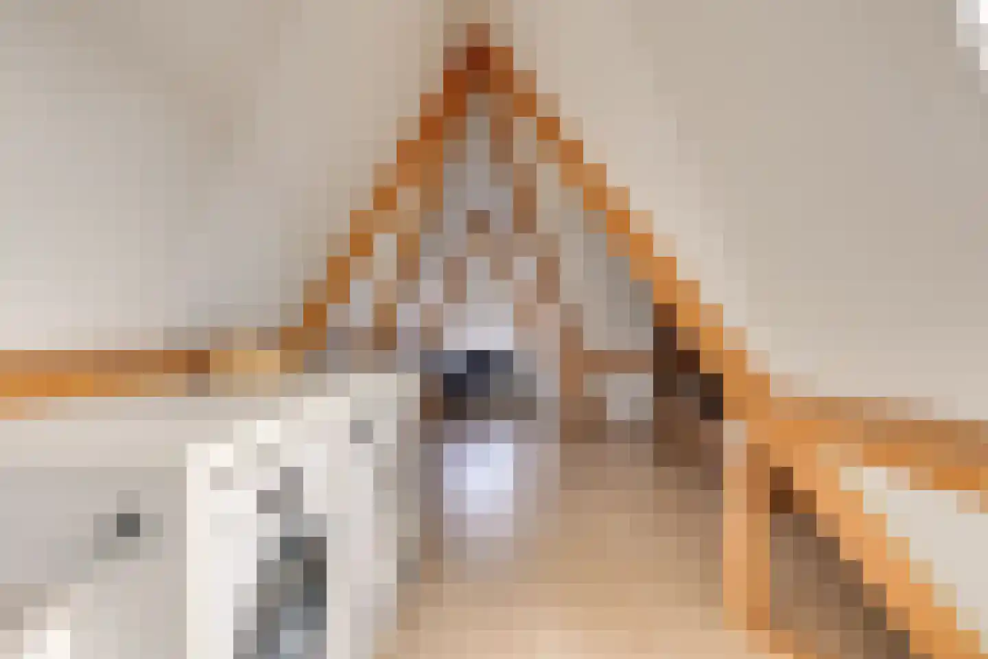 Zandoogje 1 Mierlo thumbnail 37