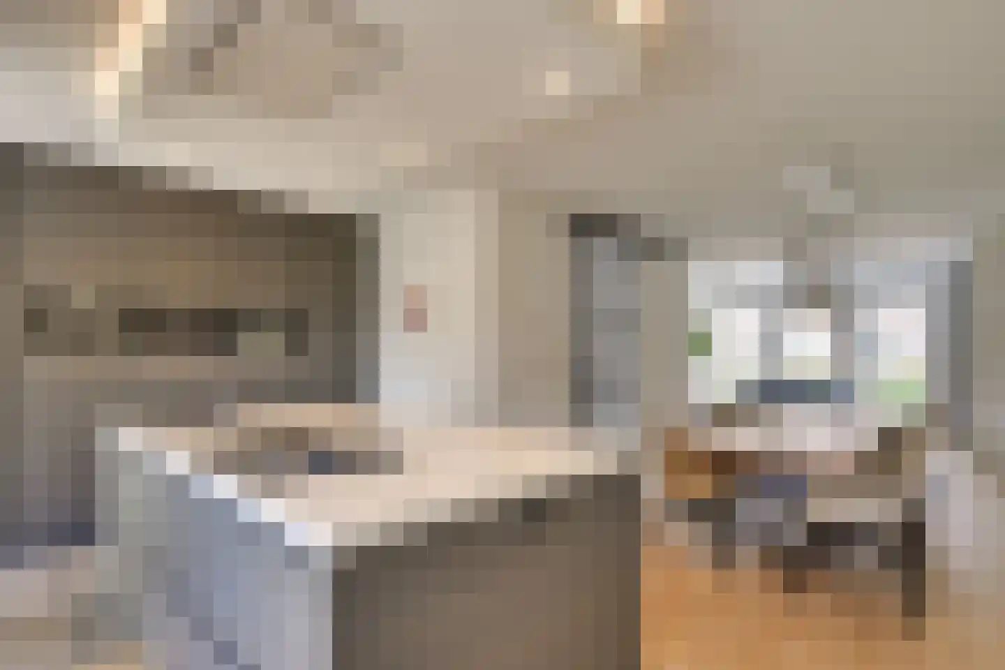 Zandoogje 1 Mierlo thumbnail 4