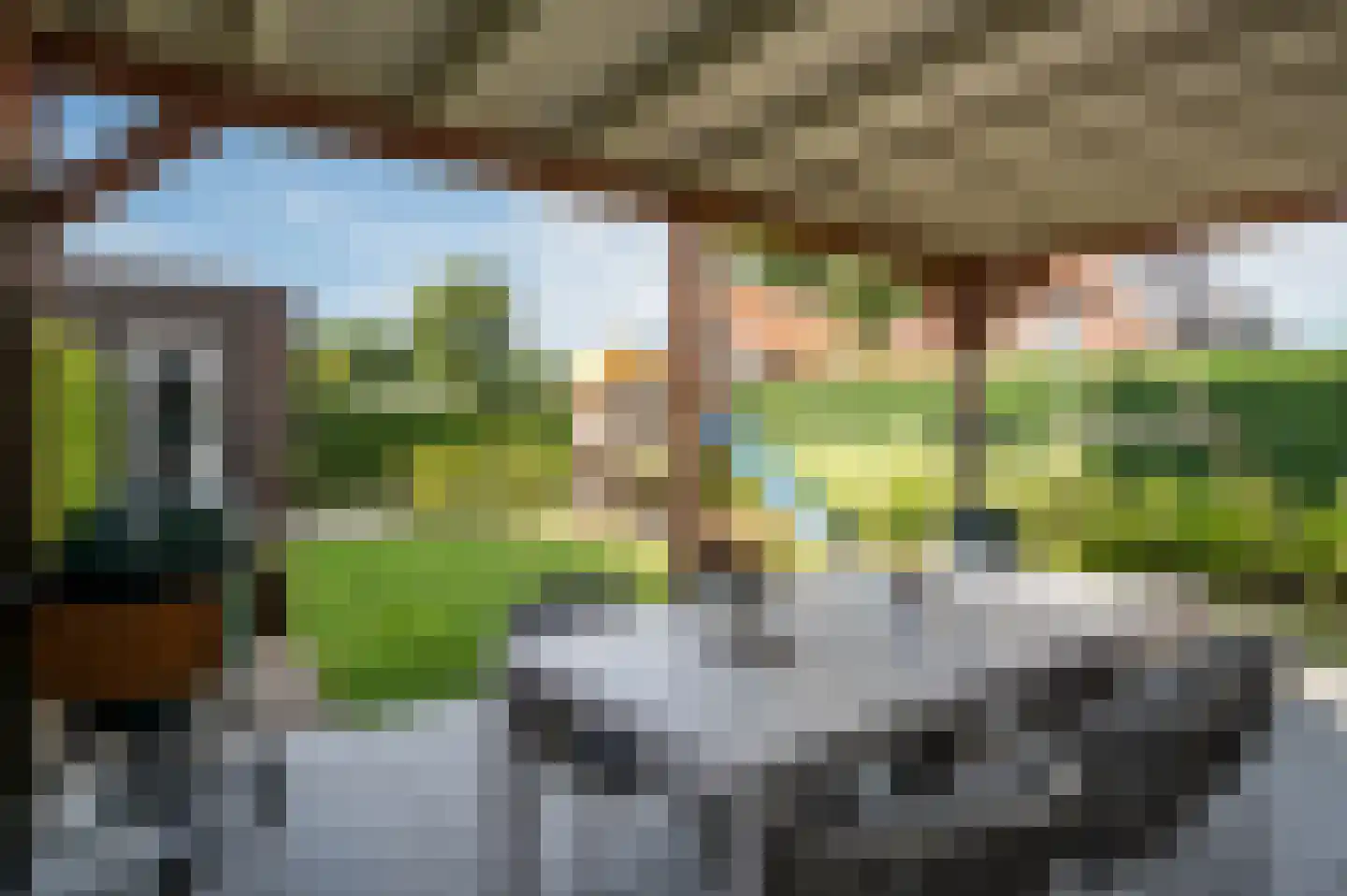 Zandoogje 1 Mierlo thumbnail 40