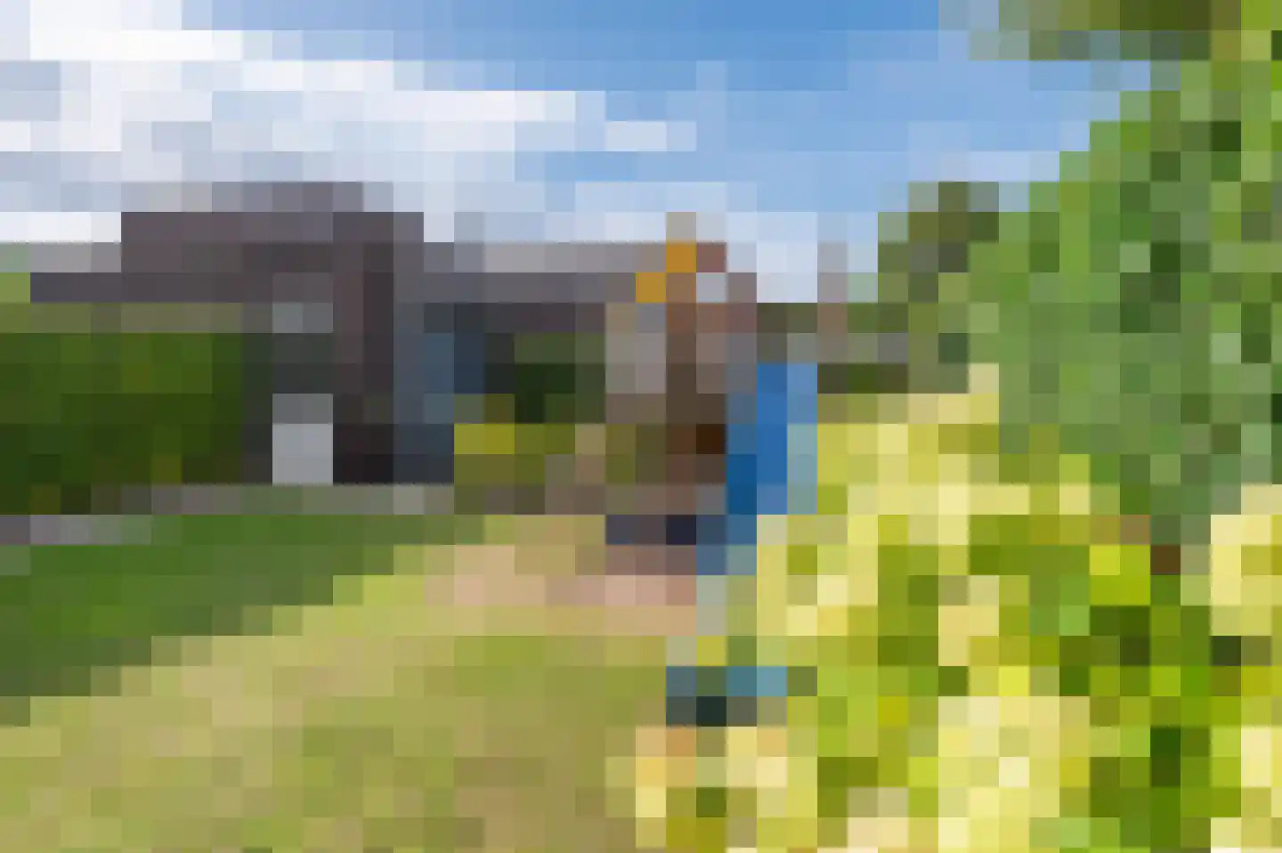 Zandoogje 1 Mierlo thumbnail 42