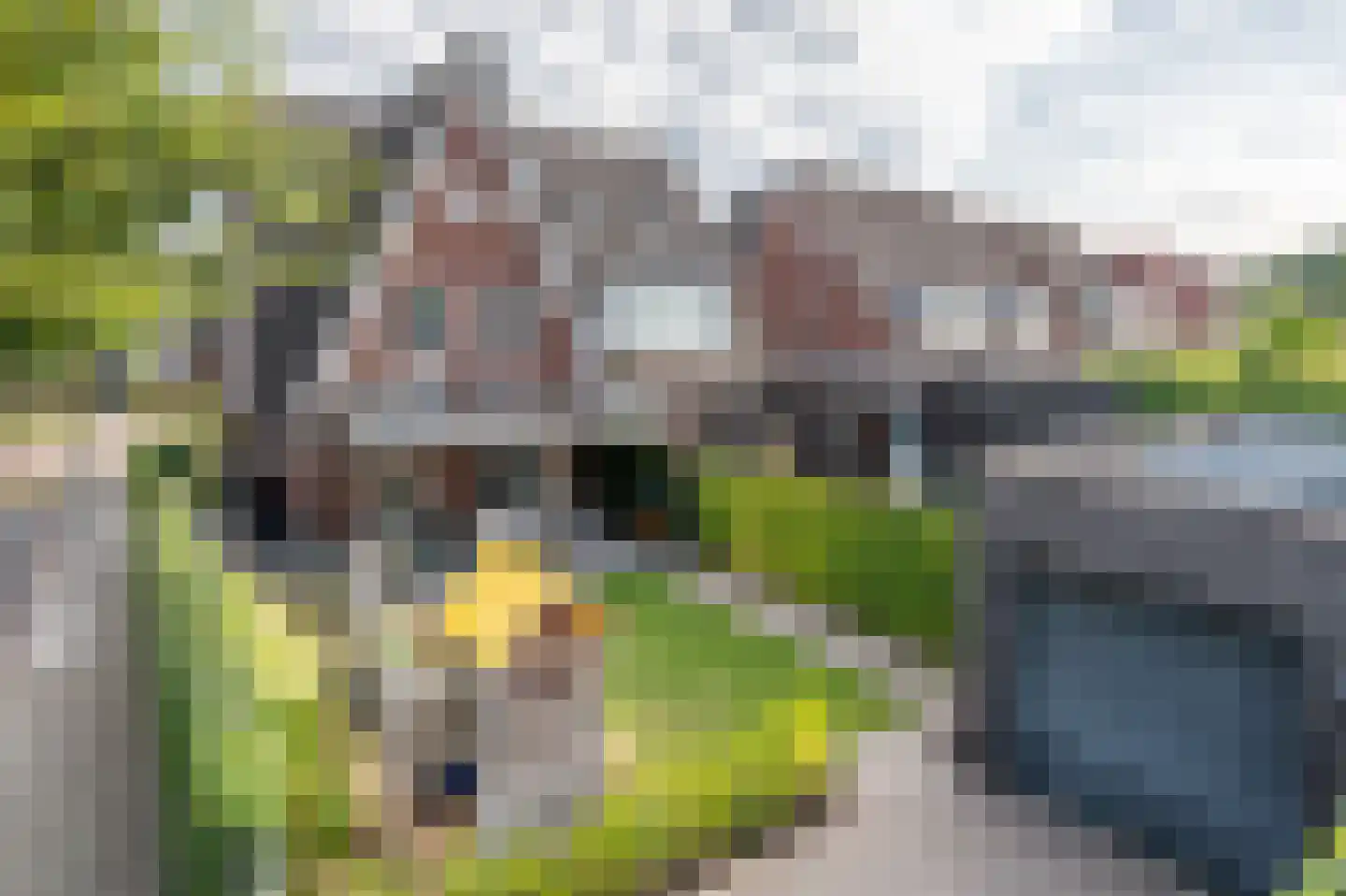 Zandoogje 1 Mierlo thumbnail 44