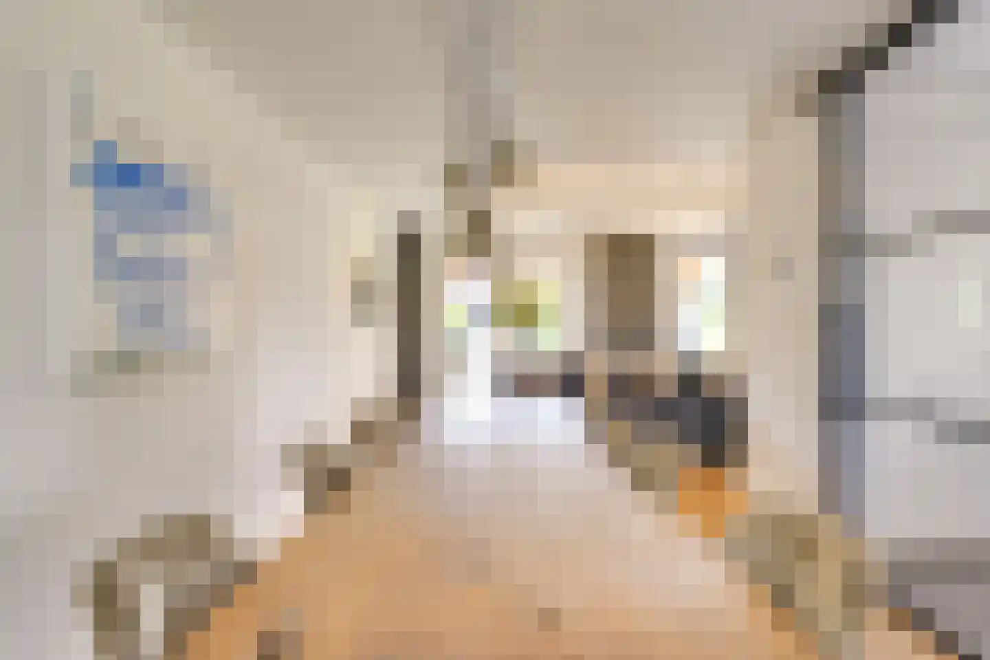 Zandoogje 1 Mierlo thumbnail 5