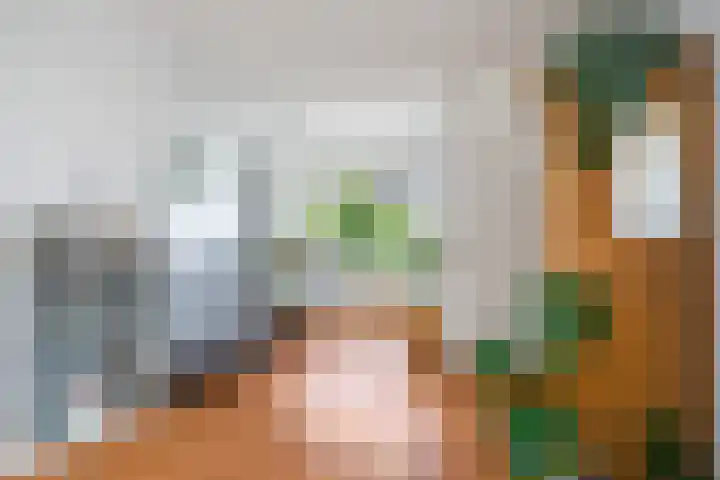 Zandoogje 1 Sneek thumbnail 10