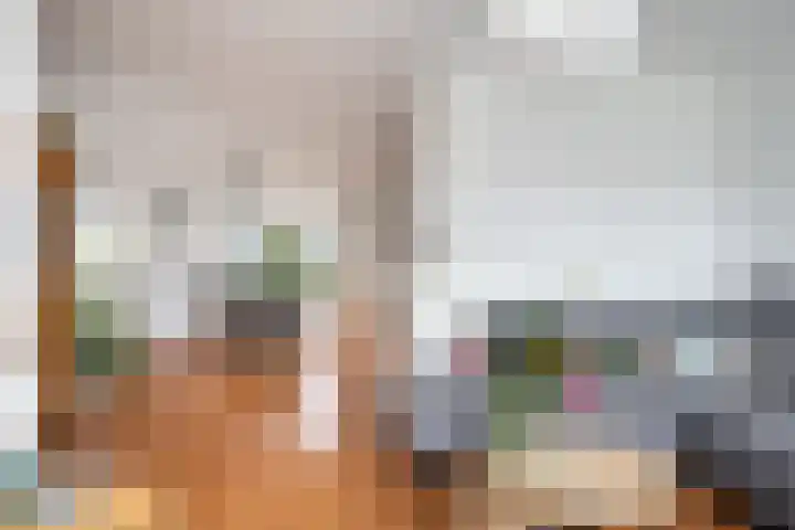 Zandoogje 1 Sneek thumbnail 11