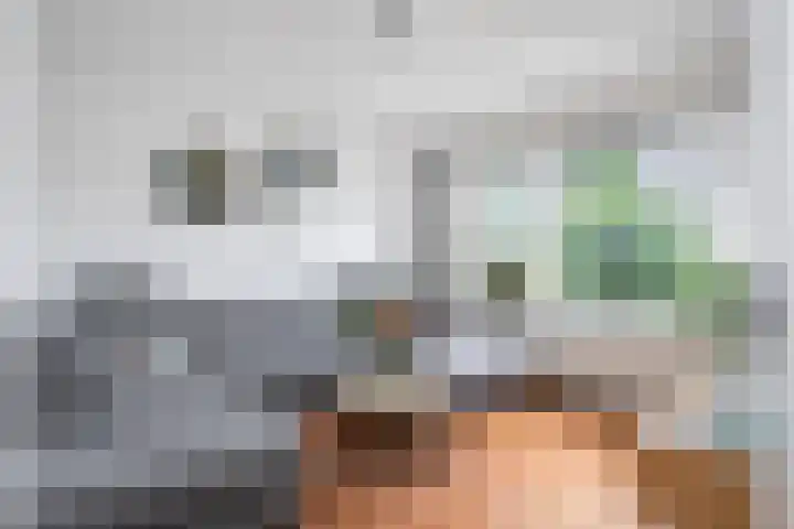 Zandoogje 1 Sneek thumbnail 12