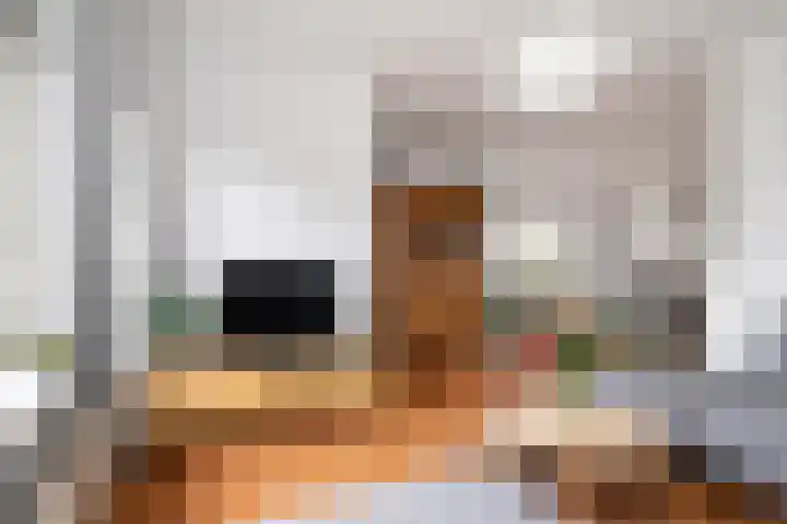 Zandoogje 1 Sneek thumbnail 13