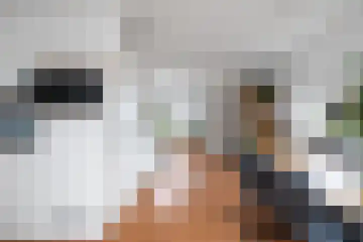 Zandoogje 1 Sneek thumbnail 14
