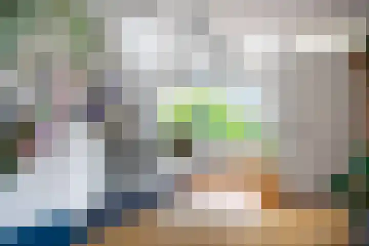 Zandoogje 1 Sneek thumbnail 16