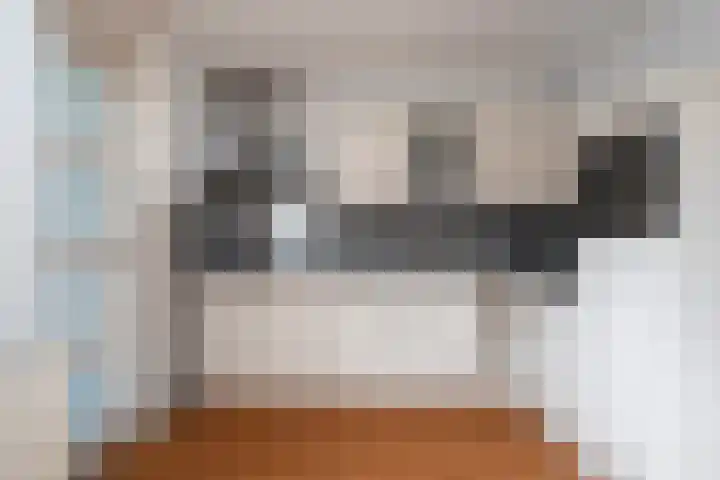 Zandoogje 1 Sneek thumbnail 17