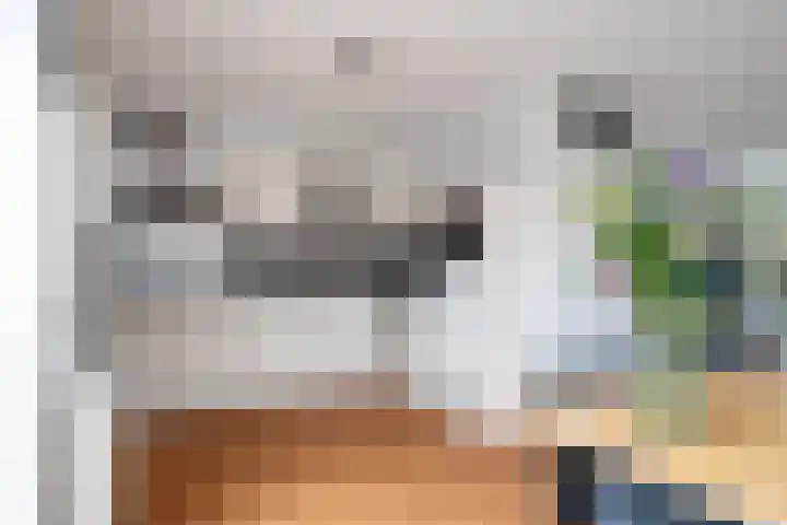 Zandoogje 1 Sneek thumbnail 18