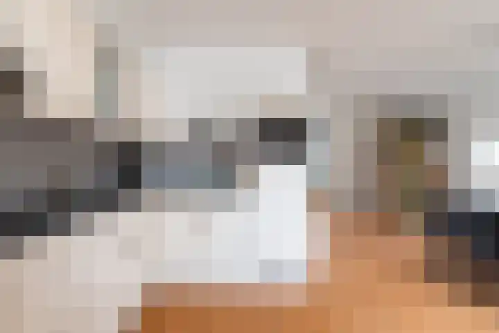 Zandoogje 1 Sneek thumbnail 19