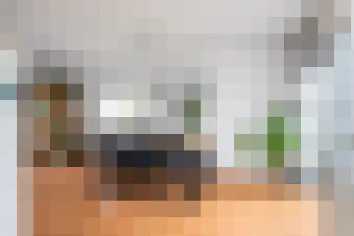 Zandoogje 1 Sneek thumbnail 20