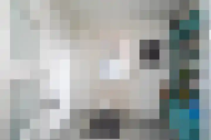 Zandoogje 1 Sneek thumbnail 21