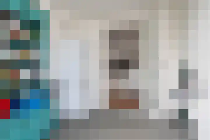 Zandoogje 1 Sneek thumbnail 22