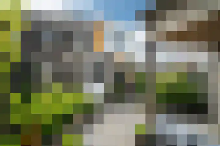 Zandoogje 1 Sneek thumbnail 23