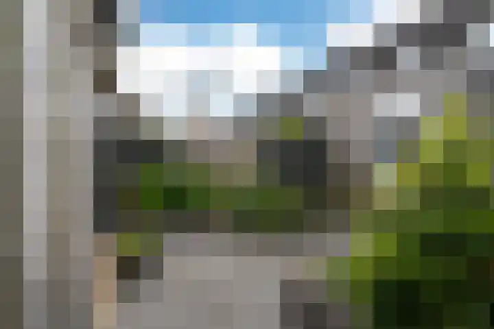 Zandoogje 1 Sneek thumbnail 24