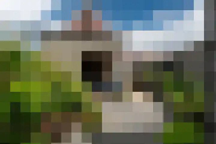 Zandoogje 1 Sneek thumbnail 25