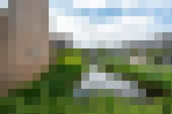 Zandoogje 1 Sneek thumbnail 27