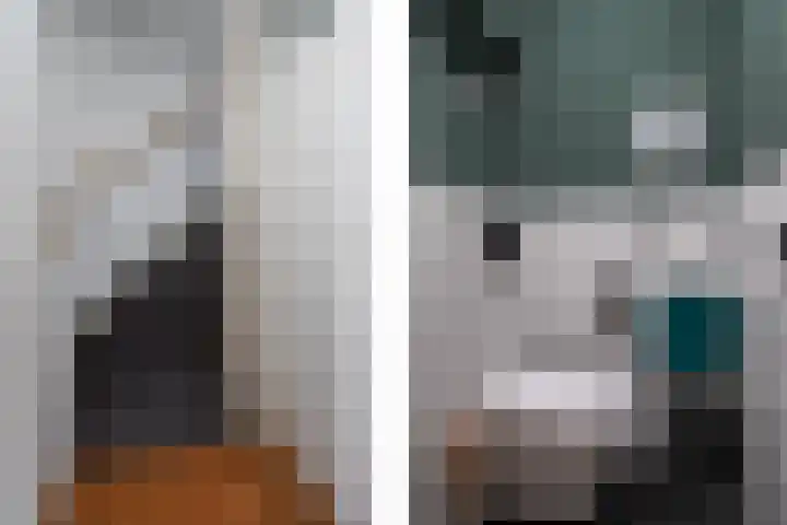 Zandoogje 1 Sneek thumbnail 28